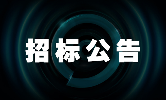 2025年电商大件产品快递业务项目-招标公告